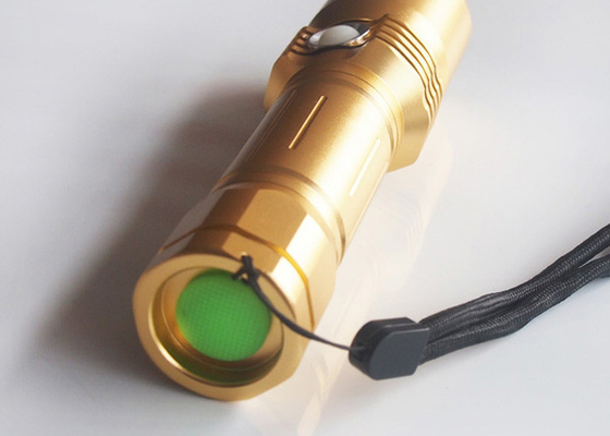 l'alto potere abrasivo anti- luminoso eccellente 10W ha condotto la torcia elettrica per la famiglia
