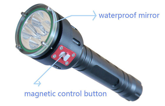 Torcia nera di tuffo di 2400LM LED